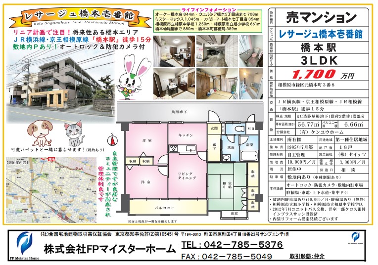 詳細チラシ