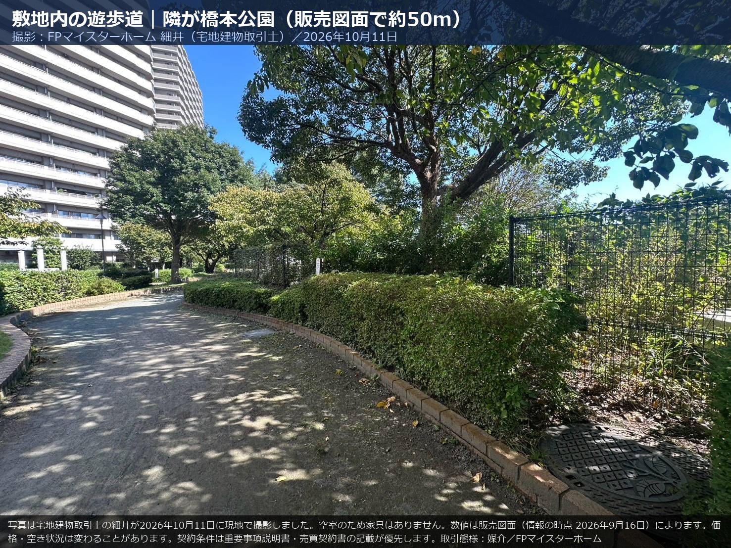 オラリオンサイト三番館の敷地内にある並木の遊歩道