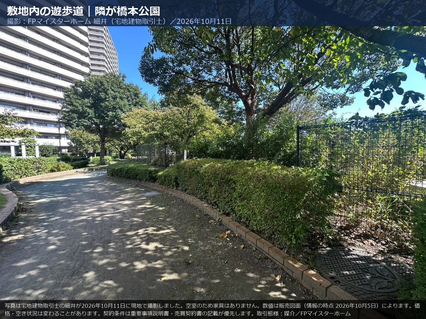 オラリオンサイト三番館の敷地内にある並木の遊歩道