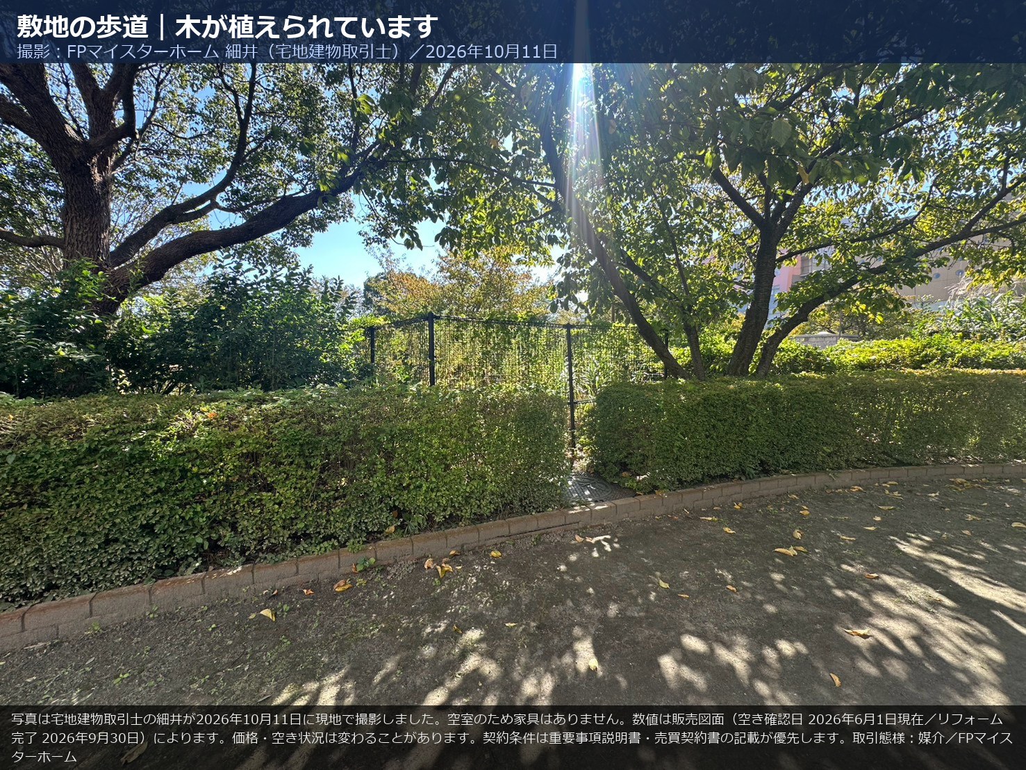 オラリオンサイトの敷地内の並木の歩道