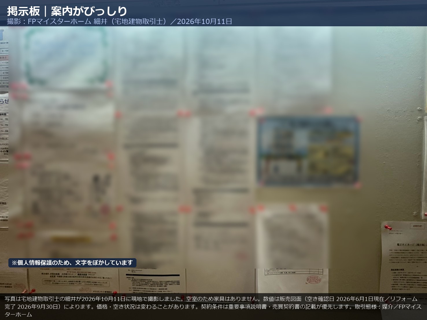 オラリオンサイト四番館の掲示板
